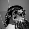 k_s_a__501