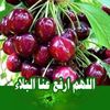 user4342261666052