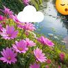 user5216197680762
