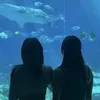 m.by_sana.nie