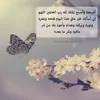 sidimohamedhamadi