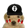 dotaclips0