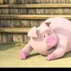samzz_62