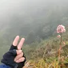 mattroirangro