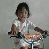 dewimaharanix