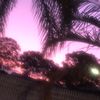 abi_skittle
