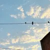 hee_428