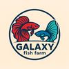 galaxyfishfarm