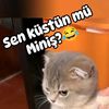 emine8265