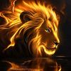 ferpo_0994035340