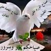 user754695581496