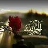 shaguftaparveen453
