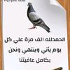 user9381048911517