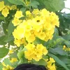 user7198318784829ras