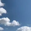 dgext_55