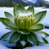 ningchen074