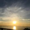 dauiu_02