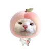xyyz_aul