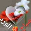 user221216035087