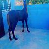 user4842294811978