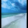 amalbenseghir