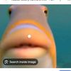 underthesea2849