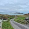 fionn869