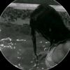 geenesis.ag