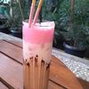 dewa10572