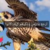 samer5854