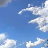 elaevictor