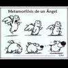 veritoch.22