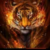 user1510598639669