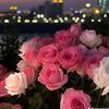 user631093628850825