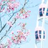 rofi_040