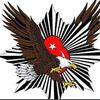 mehmetetin48