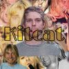 kitcatvr.1