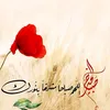 user3187731587707