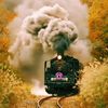 haitam_225