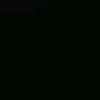 lizzs_4