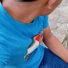 mauricioramirez966