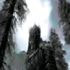 evorichedit