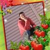 user81600217033813