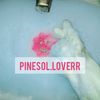 pinesol.lover