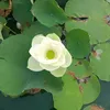 user1331thanhlong