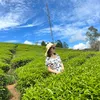 thanhtinh824
