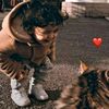 hamuwdi__m