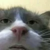 keyoh00