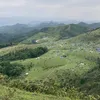 hoangdu9666