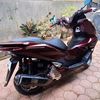 pcxburgundy1